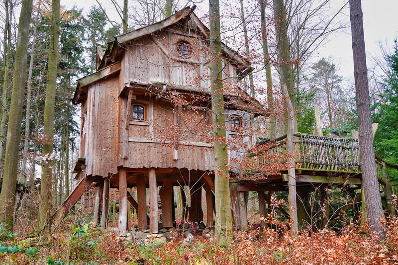 Treehouse in nature